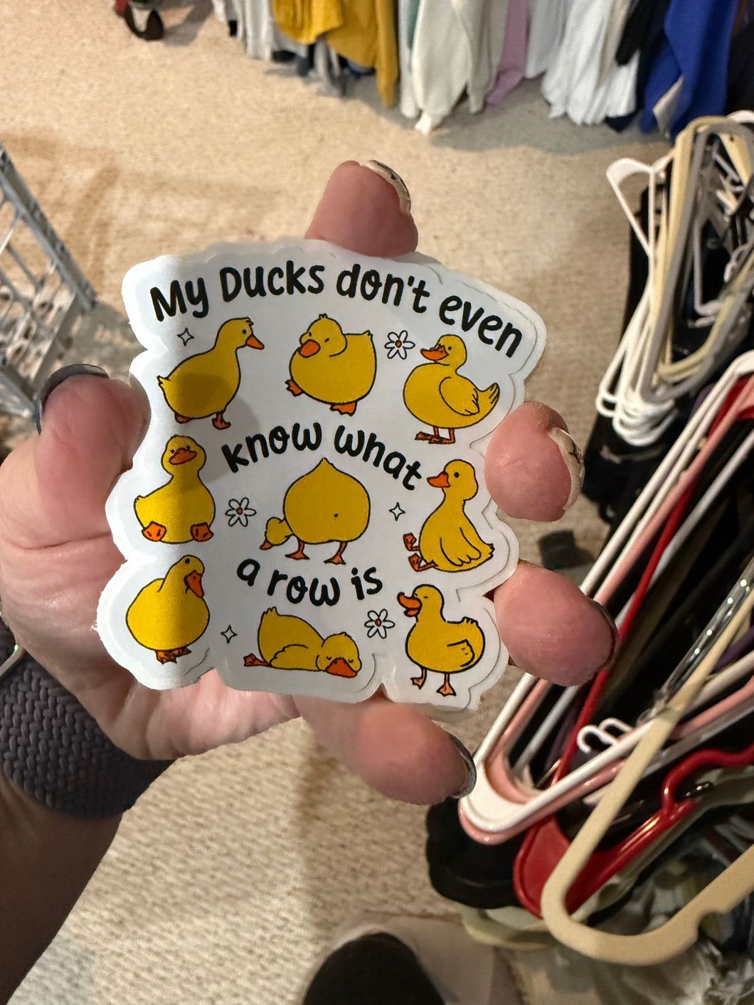 My Ducks don't know what a row is